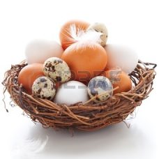 11962996-different-types-of-eggs-in-a-nest-with-feathers-on-a-white-background