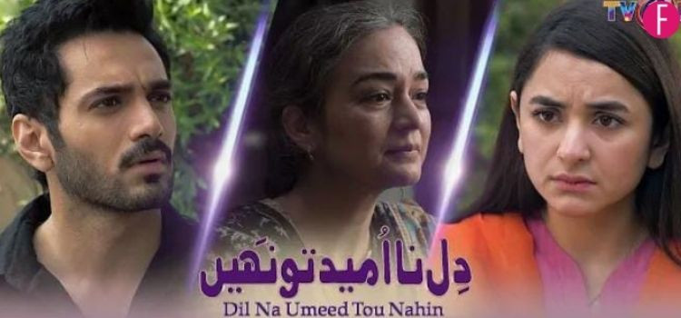 dil na umeed tu nehi