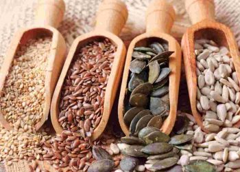 seed cycling