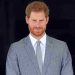 Prince Harry & book