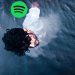 Kaifi Khalil Topping Local Charts On Spotify By His Soulful Voice!