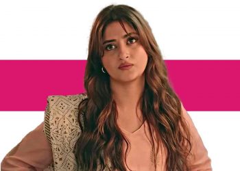 Kuch Ankahi - Is Shagufta A Welcome Addition To Changing The Women Stereotype Or Were We Judging Her Too?