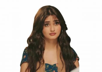 Sajal Aly, Kuch Ankahi,