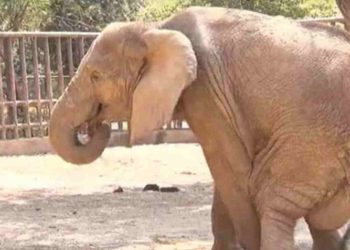 Karachi Zoo