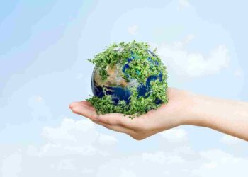 Code Green’s Planet-Friendly Finds: Shop Green!