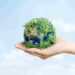 Code Green’s Planet-Friendly Finds: Shop Green!