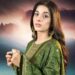 Mawra Hocane,, Nauroz, Twitter Reaction