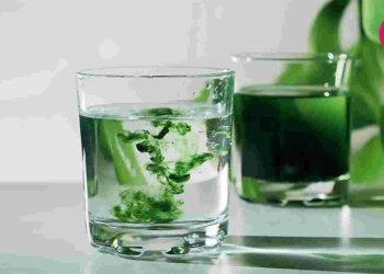 Chlorophyll Water