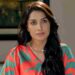Audiences Debate The Latest Twist In Mein: Is Zaid’s Second Marriage A Deal Breaker Or Will It Help Mubashira Win His Love?