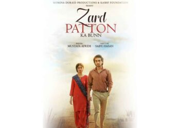 Zard Patton Ka Bunn – First Look Revealed Starring Sajal Ali & Hamza Sohail!
