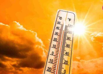 Beat The Heat: Top Hits To Stay Safe During A Heatwave