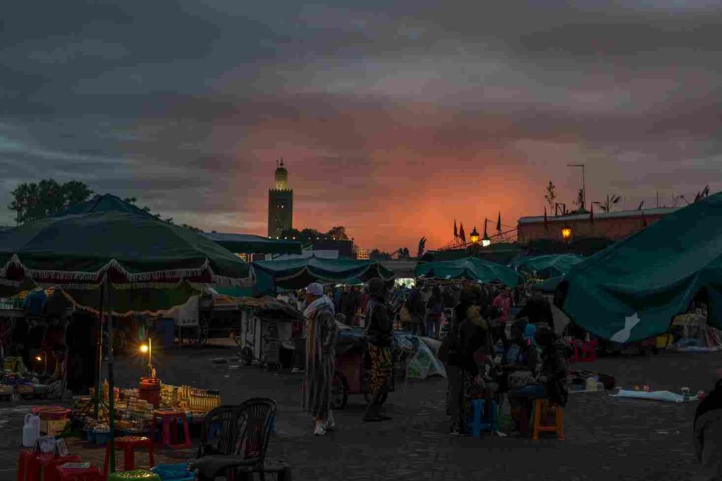 Symphony Of Life: A Photographic Journey