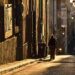 Symphony Of Life: A Photographic Journey