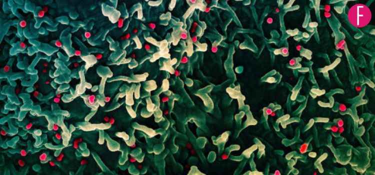 WHO Declares Global Health Emergency Over Mpox - Here's All You Need To Know About It!