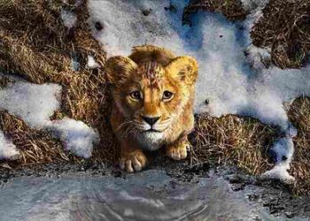 Mufasa: The Lion King - Are You Ready To Witness The Birth Of A Legend?
