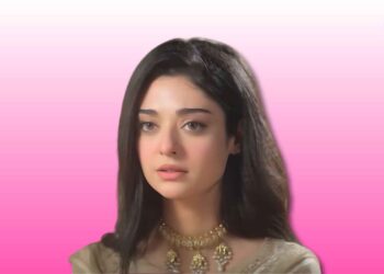 Pas-e-deewar