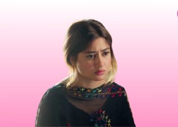 Zard Patton Ka Bunn: Can We Just Appreciate Meenu’s Father Sending Out Awesome Fatherhood Goals!