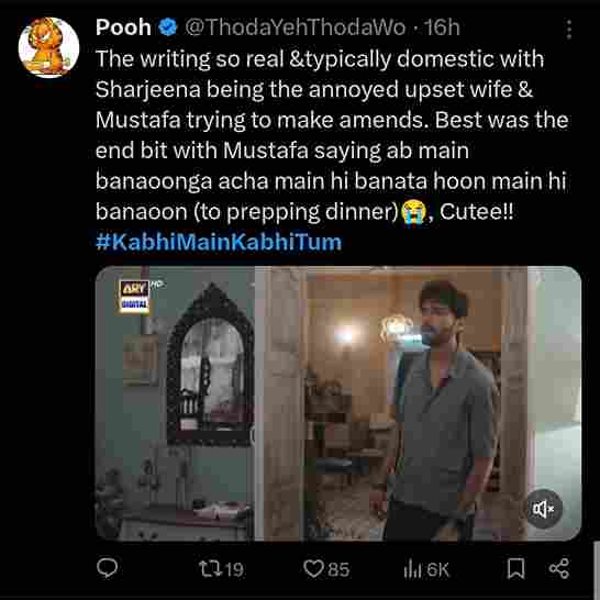 Twitter Fans React To The Emotional Rollercoaster Between Sharjeena & Mustafa In Kabhi Main Kabhi Tum