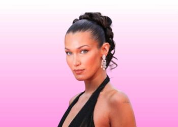 Palestine support, Bella hadid, international celebs