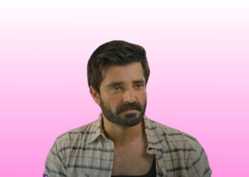 hamza ali abbasi, faraar