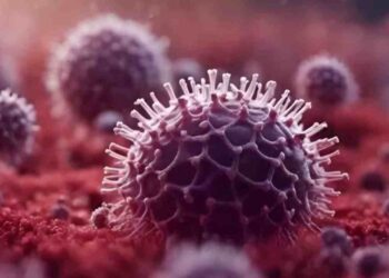 All You Need To Know About The HMPV Virus