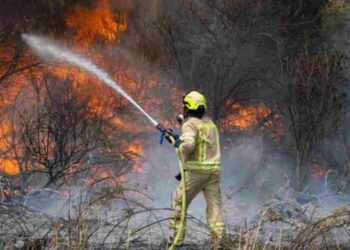 Everything We Know So Far About Israel Wildfires 2025