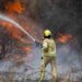 Everything We Know So Far About Israel Wildfires 2025