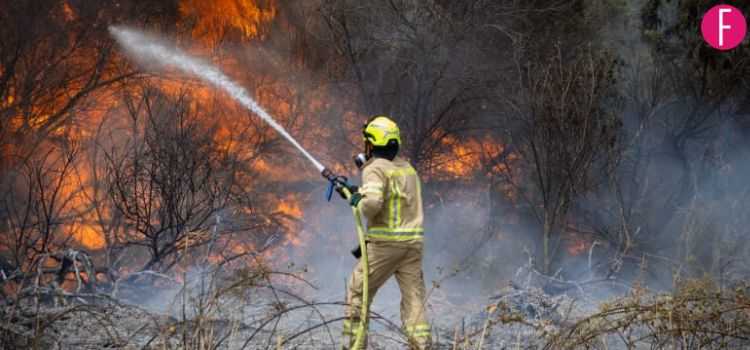 Everything We Know So Far About Israel Wildfires 2025