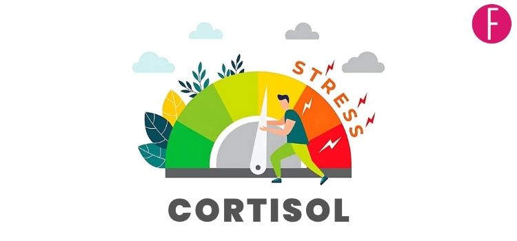 The Truth About High Cortisol and How to Spot It
