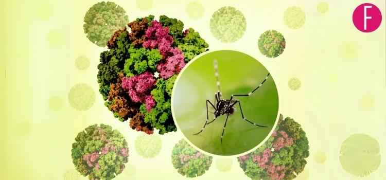 Chikungunya