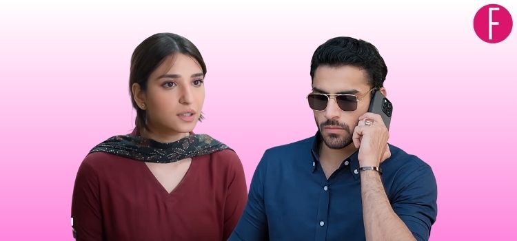 Biryani: Episode 8 and 9 Review