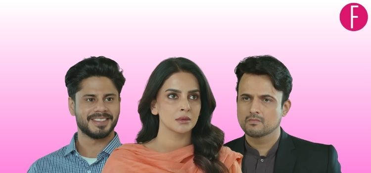 Pamaal Review: Episodes 5 and 6