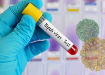 Nipah Virus Outbreak In India – Here’s Everything You Need To Know About It
