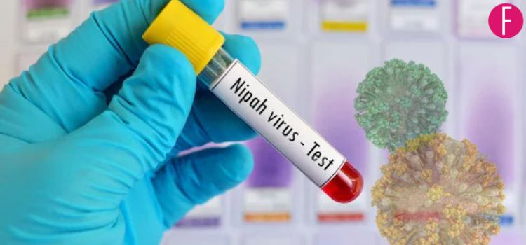 Nipah Virus Outbreak In India – Here’s Everything You Need To Know About It