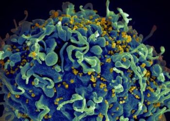 HIV Outbreak In Pakistan Linked To Reuse Of Syringes: All We Know So Far