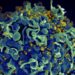 HIV Outbreak In Pakistan Linked To Reuse Of Syringes: All We Know So Far