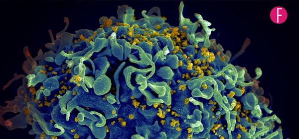 HIV Outbreak In Pakistan Linked To Reuse Of Syringes: All We Know So Far