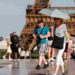 Summers, Europe, Britain, France, Germany, Europe's Worst Heatwave Yet: Record Temperatures, Rising Death Toll and a Continent Under Pressure
