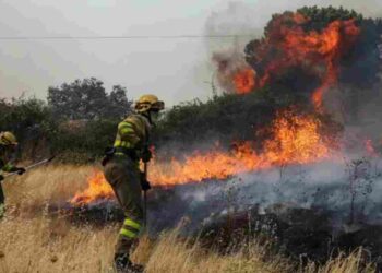 Europe's Worst Wildfire Season Yet - What’s Happening in France and Spain