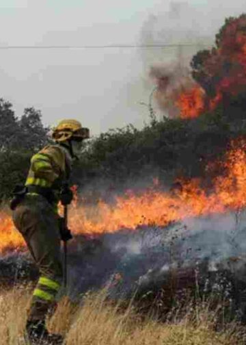 Europe's Worst Wildfire Season Yet - What’s Happening in France and Spain
