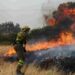 Europe's Worst Wildfire Season Yet - What’s Happening in France and Spain
