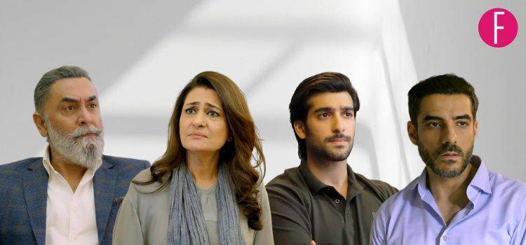 Doctor Bahu: The Men in Farheen's Life Weren't All the Same - But They All Left Scars
