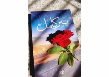 'No Thank You': Umera Ahmed Shuts Down Pir-e-Kamil TV Adaptation Rumours