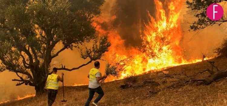 Algeria Wildfires