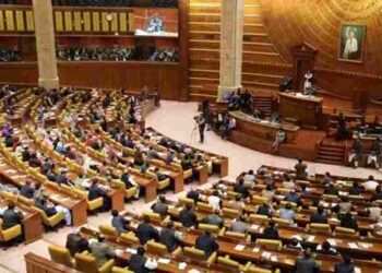 Punjab Assembly Seeks Ban on Social Media Accounts for Children Under 16