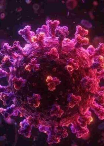 Shamonda Virus